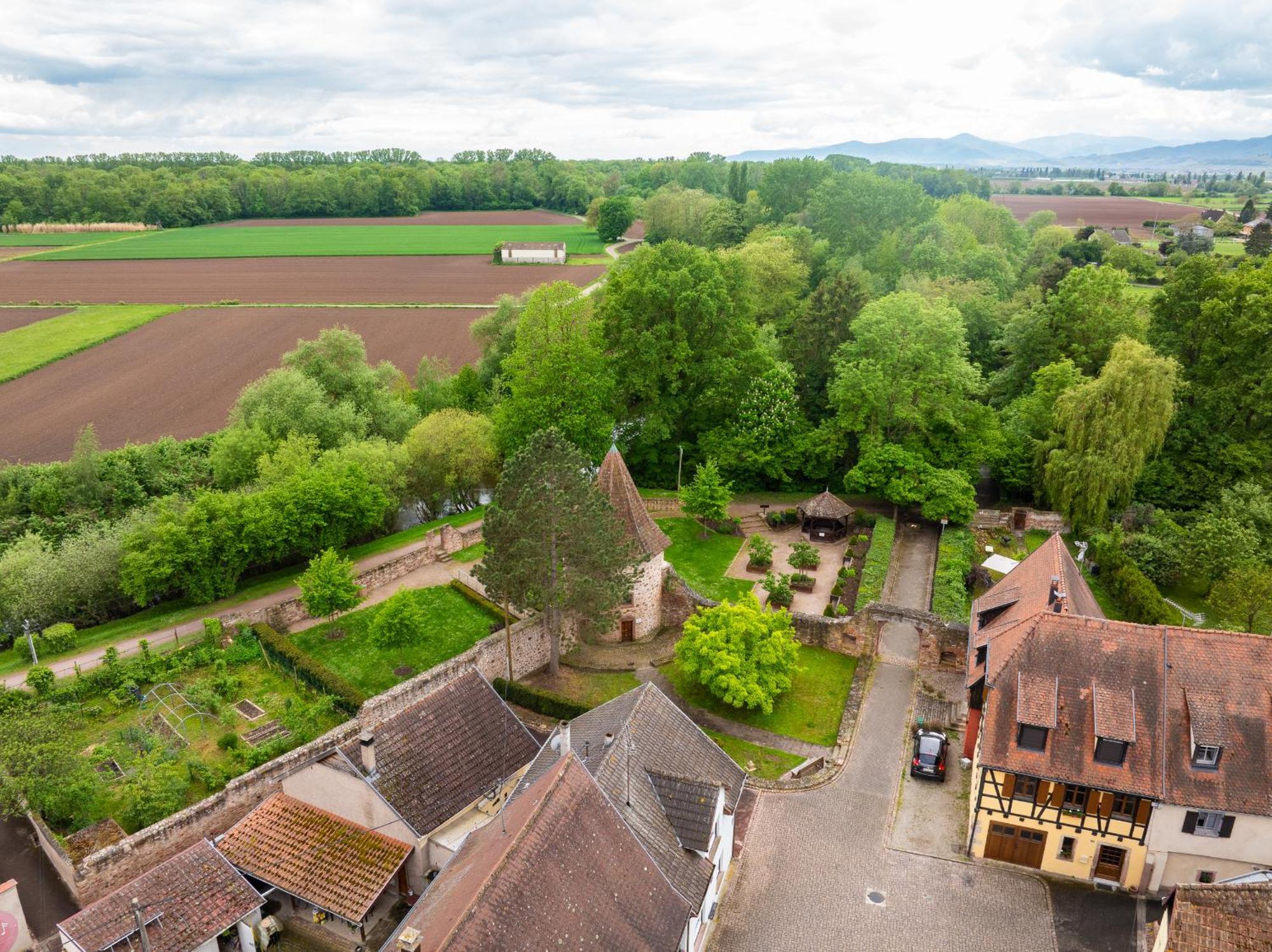 La Ruine - Gite D'Alsace Jusqu'A 10 Personnes Avec Spa Interieur Guemar Exterior photo